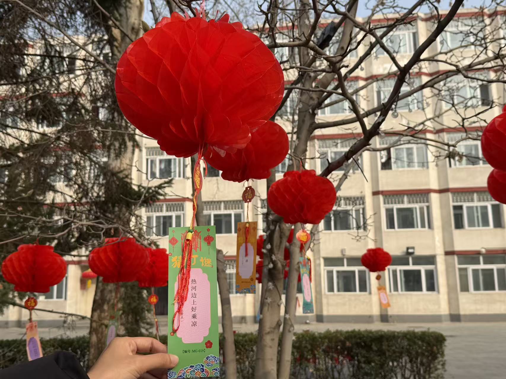 乐球体育体育频道